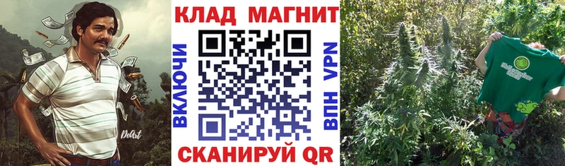 Виды наркотиков купить Берёзовский АМФЕТАМИН  Кокаин  APVP  Меф мяу мяу  ГАШ  Бошки Шишки 