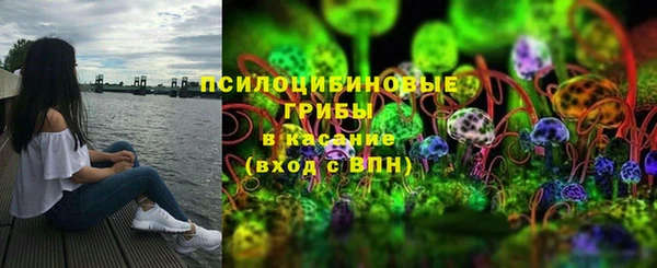 сатива Белокуриха