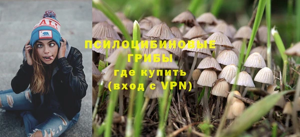 ПСИЛОЦИБИНОВЫЕ ГРИБЫ Богородск