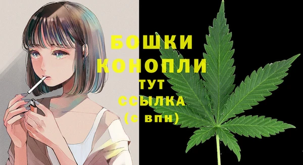 ПСИЛОЦИБИНОВЫЕ ГРИБЫ Богородск